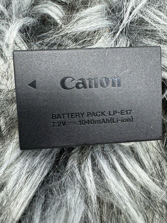 Canon EOS 77D 24.2 MP Digital SLR Camera with ef-s 18-55mm & ef-s 55-250mm Lenses