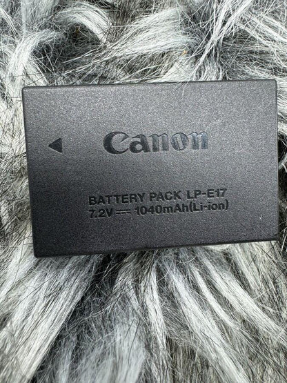 Canon EOS 77D 24.2 MP Digital SLR Camera with ef-s 18-55mm & ef-s 55-250mm Lenses