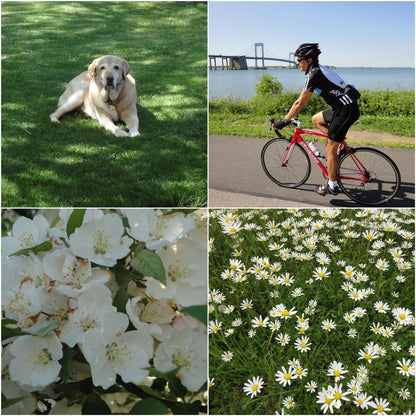 Used Sony CyberShot W560 Digital Camera