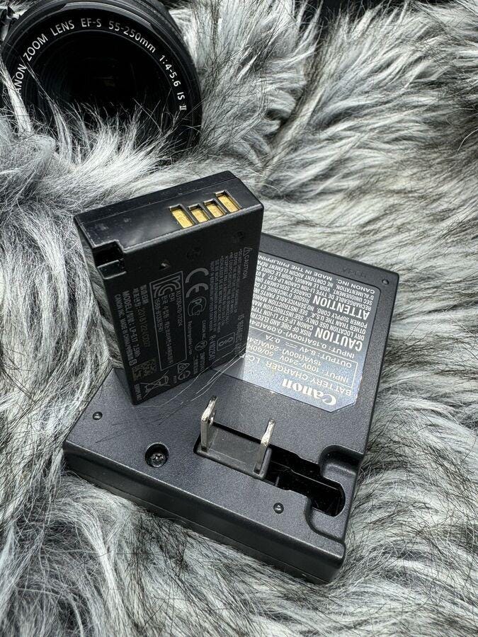 Canon EOS 77D 24.2 MP Digital SLR Camera with ef-s 18-55mm & ef-s 55-250mm Lenses