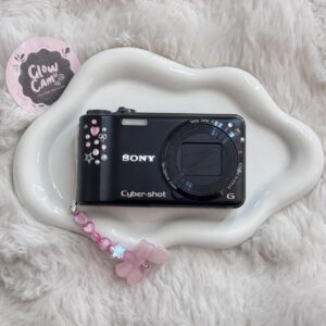 Sony Cyber Shot Dsc Digital Camera 10 2Mp Iy